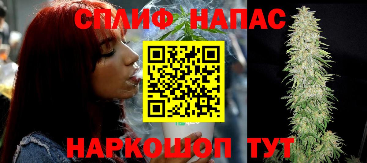 Шишки марихуана сатива  Шишки марихуана Bruce Banner  Вход с VPN  Тверь 